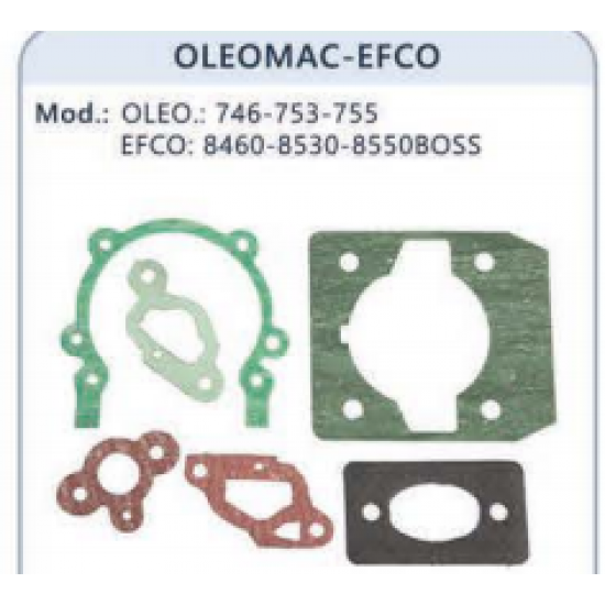ΦΛΑΝΤΖΕΣ ΣΕΤ OLEOMAC-EFCO 746-753 AFTER MARKET