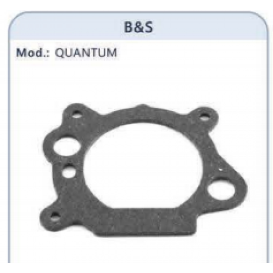 ΦΛΑΝΤΖΑ ΕΙΣΑΓΩΓΗΣ  BRINGGS AND STRATTON QUANTUM 625
