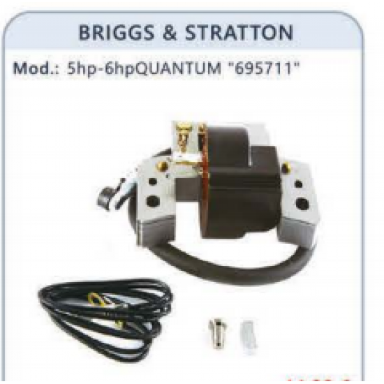 ΗΛΕΚΤΡΟΝΙΚΗ BRIGGS AND STRATTON QUANTUM  AFTER MARKET 